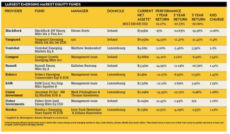 largest emerging market equity funds